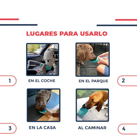 Bebedero Portatil Para Mascotas